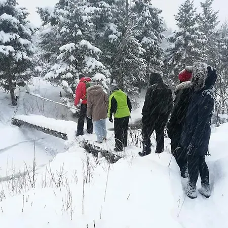 Tammeoja Puhkemaja
