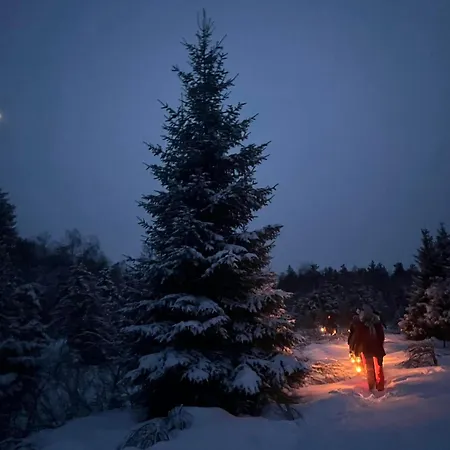Chalet Tammeoja Puhkemaja *