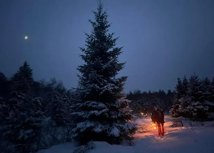 Chalet Tammeoja Puhkemaja *